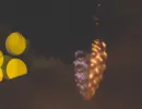 20211128 151A8772