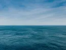 20230129 151A8604