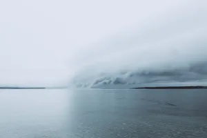 20230522 151A7907