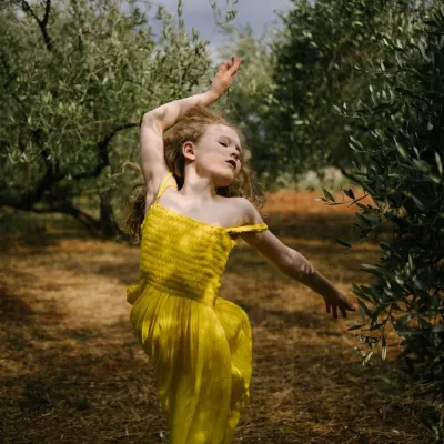 Olive groves