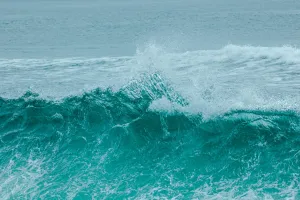 20240727 imgl0472
