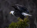 202504111a3904  2025 04t00 07.838 