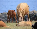 20250714 imgl5584