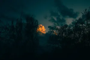 20221025 imgl6845